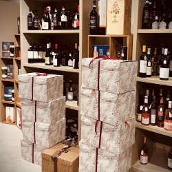 495170053 1227747076027060 3862227230303474715 N