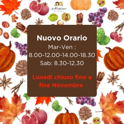 558929284 1360511029417330 2971879019086097902 N